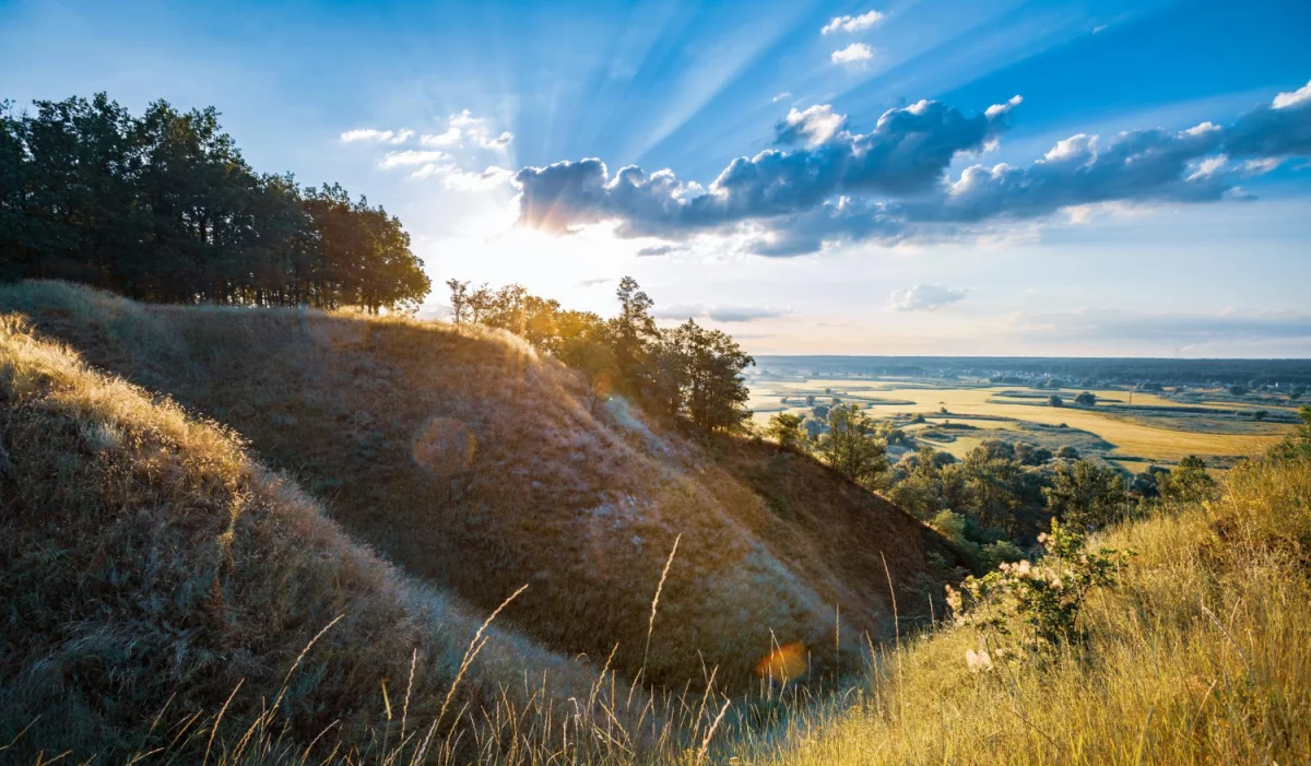 BDO Austria a dokumenty WEEE: jak prowadzić zgodnie z prawem  
14