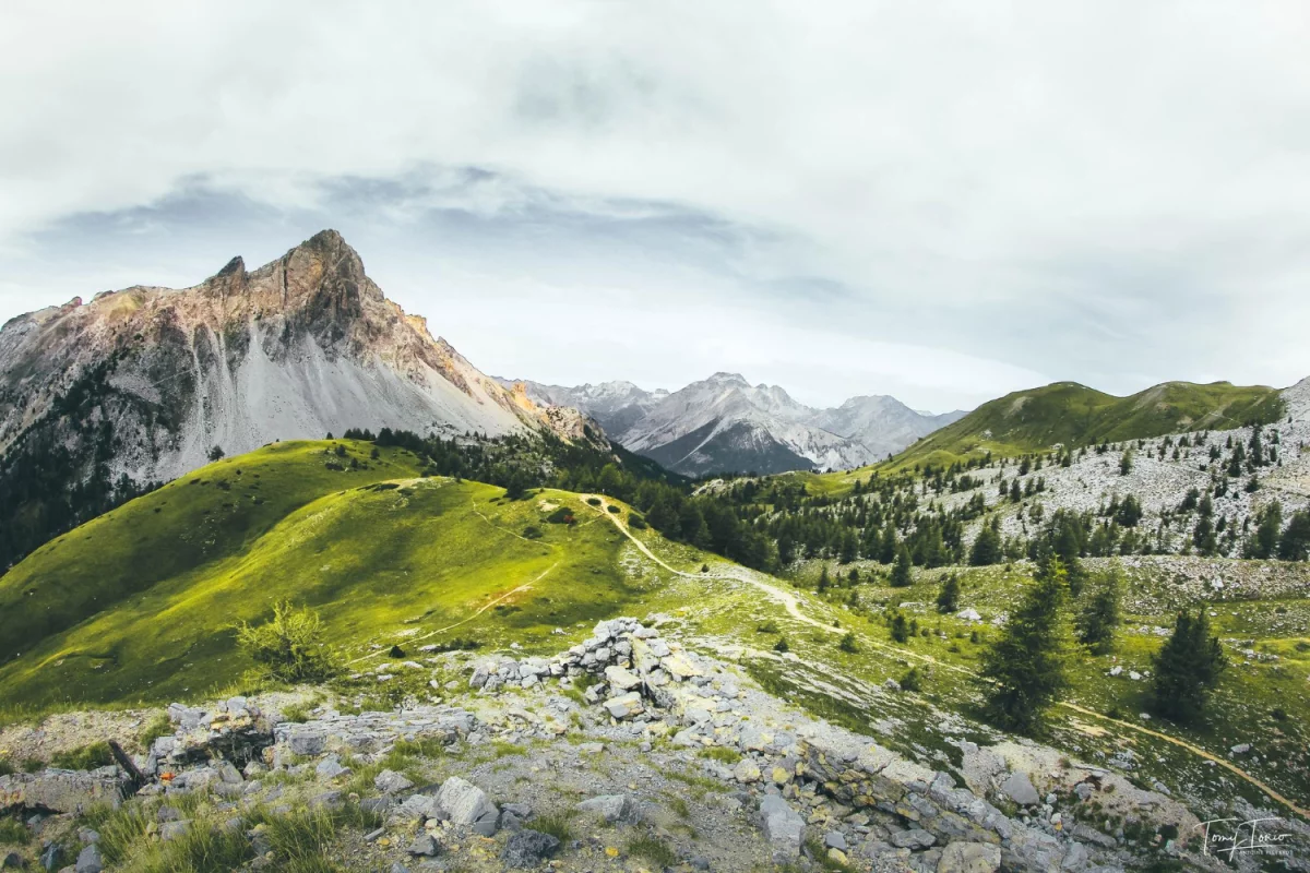 10 Pomysłów Aby obsłużyć esg w firmie